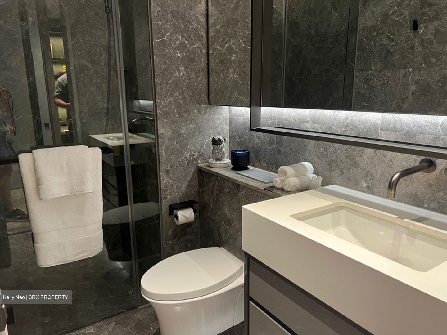 Cuscaden Reserve (D10), Condominium #594217841